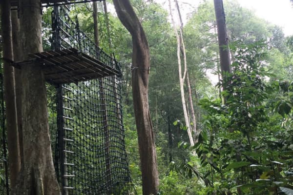 skytrex adventure melaka